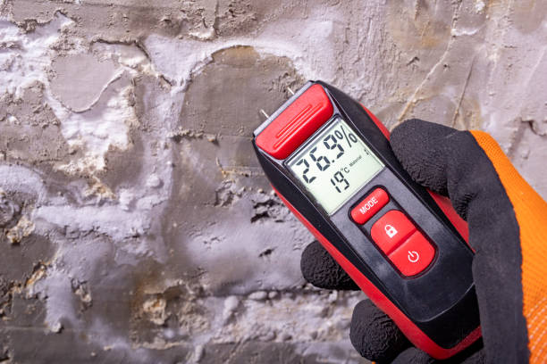 Best Residential Mold Removal  in Arkwright, SC