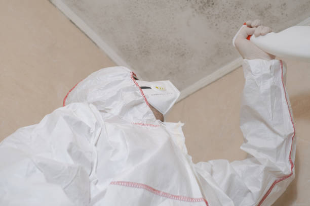 Best Emergency Mold Removal  in Arkwright, SC