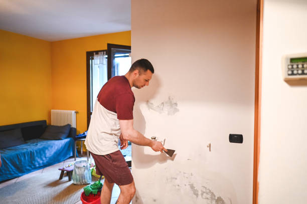 Best Crawl Space Mold Removal  in Arkwright, SC
